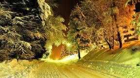 зима, вечер, снег, лес, дорога, зимний лес
