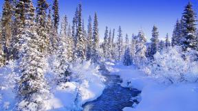 зима, река, снег, лес, зимний лес