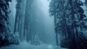 зима, туман, снег, лес, зимний лес, дорога