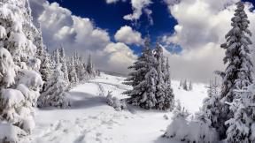 зима, снег, лес, зимний лес