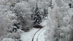 зима, снег, лес