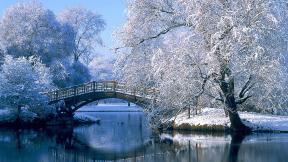 зима, озеро, снег, дерево, мост