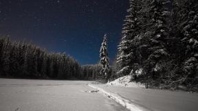 зима, снег, ночь, лес, зимний лес