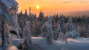 зима, снег, лес, зимний лес, закат