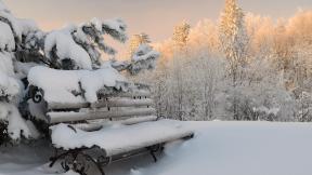 зима, снег, лес, зимний лес, скамейка