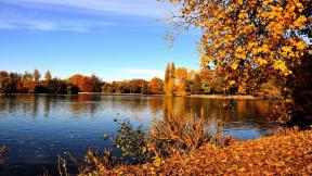 осень, озеро, листья