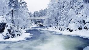 зима, снег, лес, река, мост, зимний лес