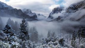 зима, снег, лес, туман, горы