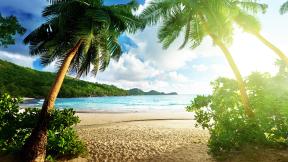 пальмы, песок, пляж, море, солнце