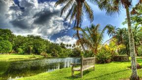скамейка, пальмы, озеро