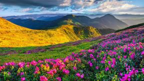 весна, горы, холмы, цветы