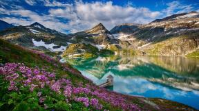 весна, горы, цветы, озеро, отражение
