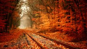 железная дорога, осень, листья, рельсы