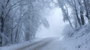 зима, дорога, лес, снег, зимний лес