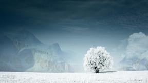 зима, снег, дерево, горы