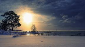 зима, снег, дерево, солнце, закат