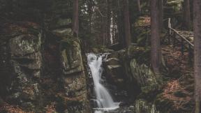 водопад, лес