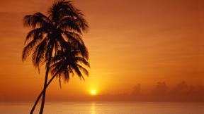 пальмы, море, закат, солнце
