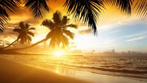 пальмы, море, солнце, закат