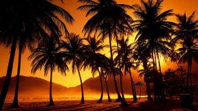 пальмы, море, закат
