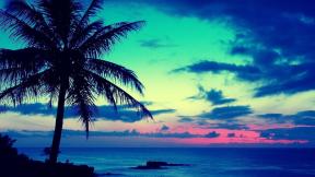 пальмы, море, небо, вечер