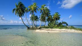 пальмы, море, остров