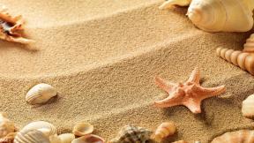 песок, ракушка, звезда