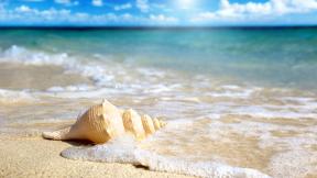 песок, ракушка, море