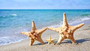 песок, звезда, море