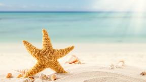 песок, ракушка, звезда, море