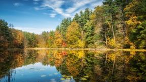 осень, лес, озеро, отражение