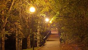 фонарь, мост, лес, вечер