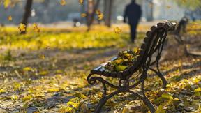 осень, листья, скамейка