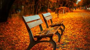 осень, листья, скамейка