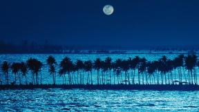 море, пальмы, Луна, вечер
