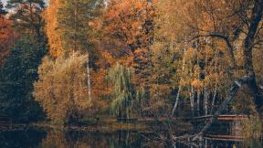 осень, озеро, лес