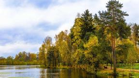 осень, озеро, деревья