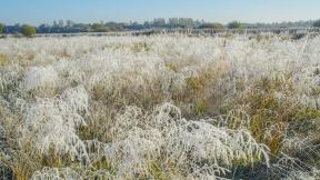 поле, трава, иней, первый снег, осень