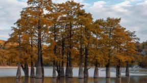 осень, деревья, озеро
