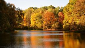 осень, лес, отражение