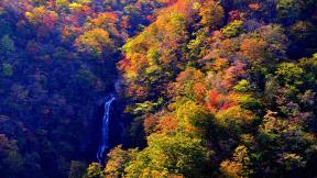 осень, лес, водопад