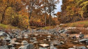 мост, осень, река, камни, лес