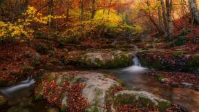 осень, лес, скалы, водопад