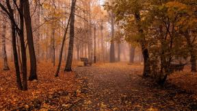 осень, листья, парк, скамейка, туман