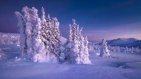 зима, снег, горы, деревья
