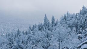 зима, снег, лес, с высоты