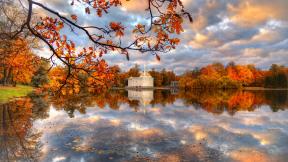 осень, листья, ветка, озеро, небо