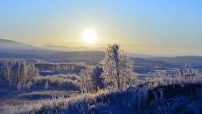 зима, снег, лес, закат, солнце