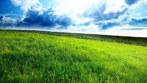 трава, поле, небо, облака