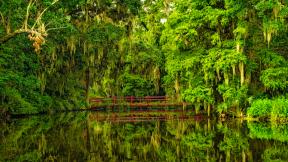 лес, озеро, мост, отражение